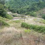 زمین در منطقه ییلاقی لاویج